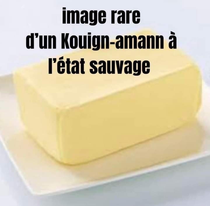 IMG_3763.jpeg