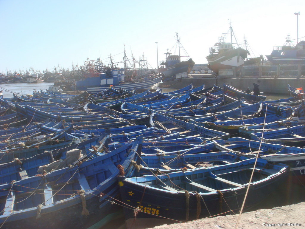 Essaouira,le port typique barques bleus