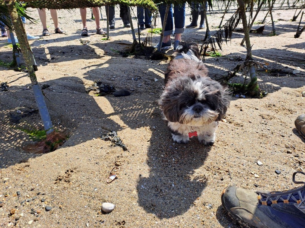 La Gardienne toujours présente