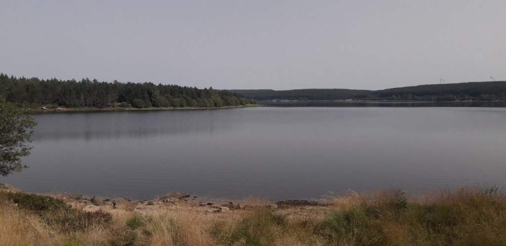20230905_162901.jpg