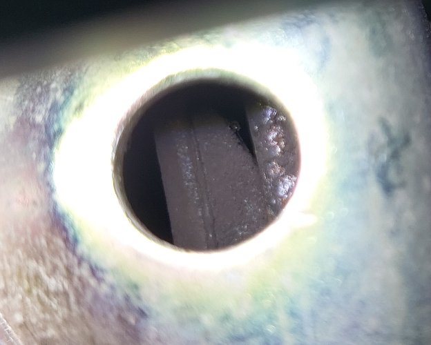 20240323_114138.jpg