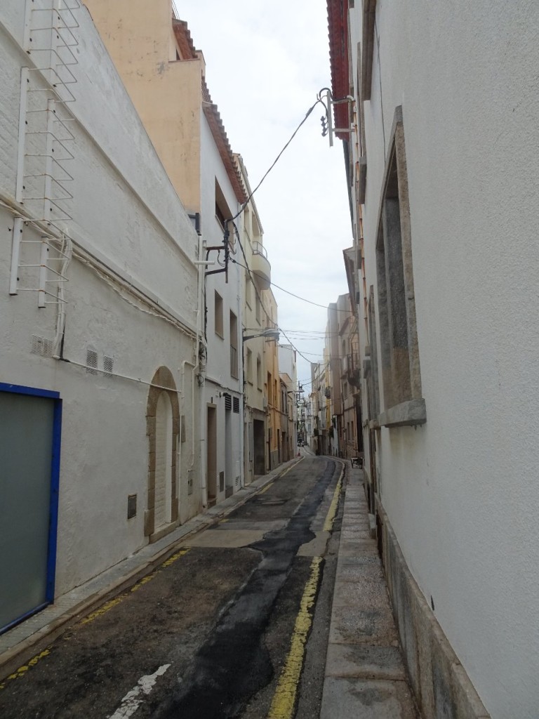 DSC04442.JPG