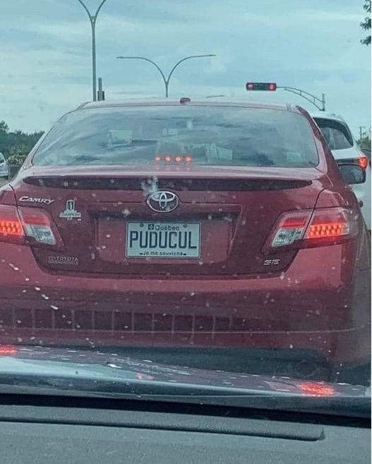 Immat Québec.jpeg