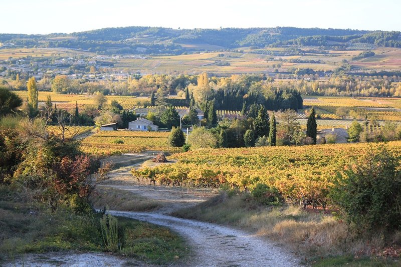 Vaucluse
