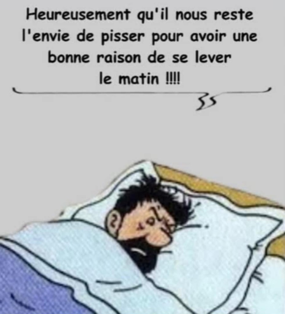 IMG_9544.jpeg