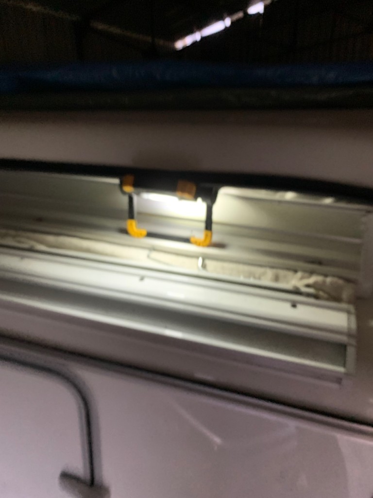 IMG_2160.jpeg