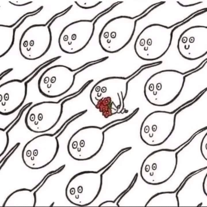 461858112_1858966601259754_377674846691096372_n.jpg