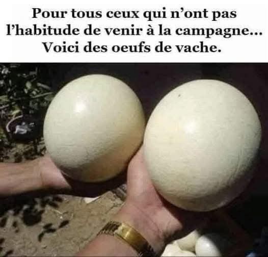 985a74d87244693d7c4761d5bdaa3882.jpeg