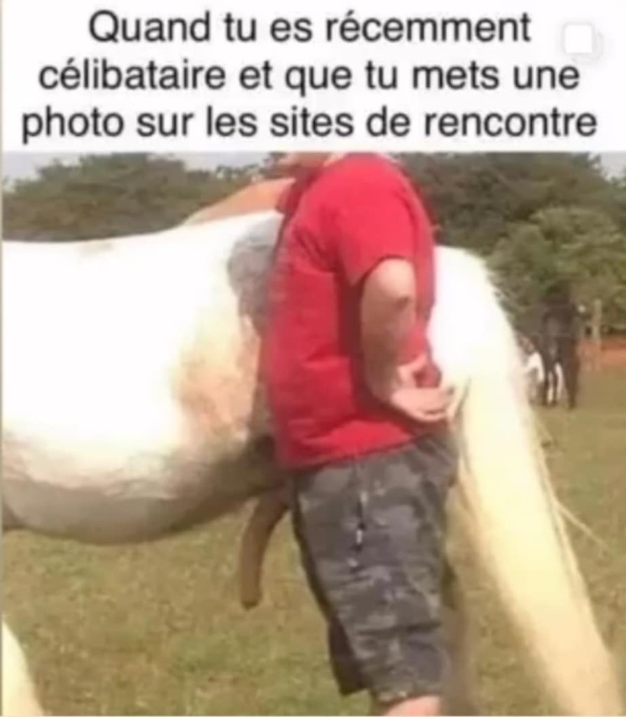 att.P422fgczVxPJ6insCIddTjdd0B6HRtmEL_h9j7kQCrM.jpeg
