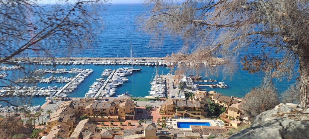 20250419_095430 (1).jpg