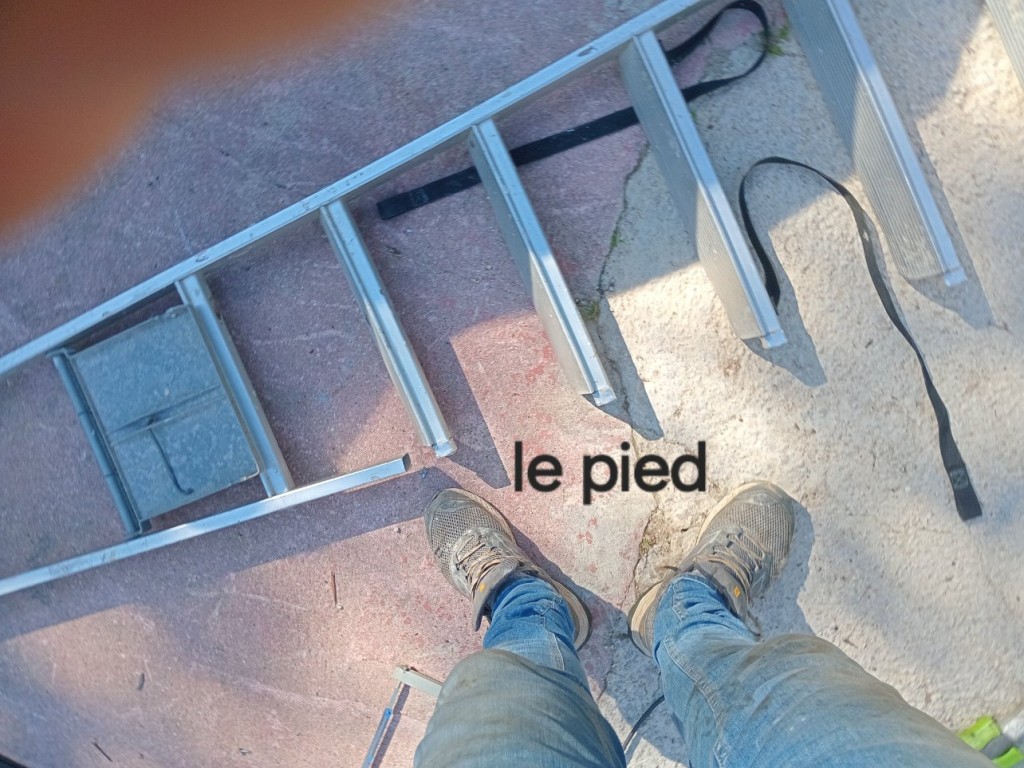20250512_171039.jpg