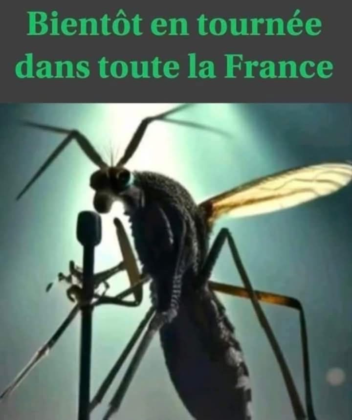 att.vS1xAc9c5UzV3hWoF9k1kbGY3Id2XVsv9h9SqjzUfWk.jpeg