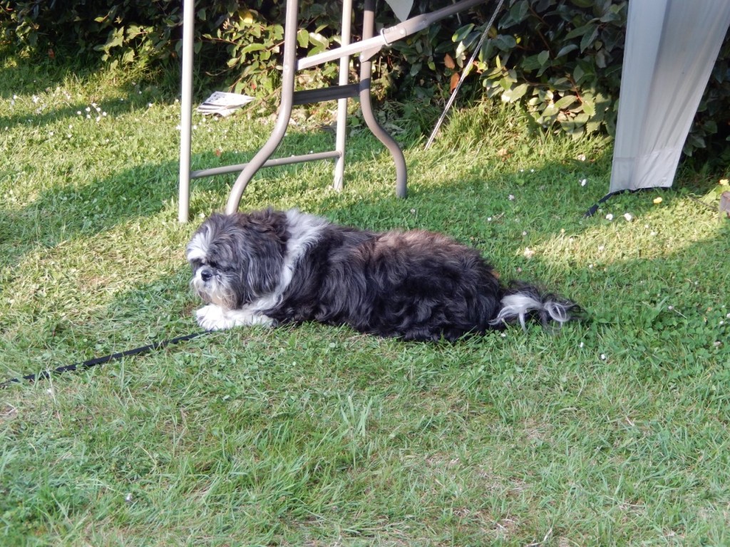 DSCN3434.JPG