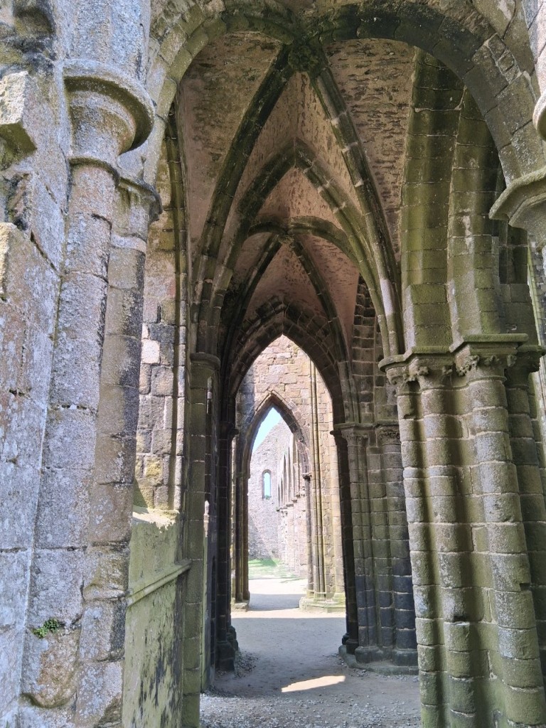 20250608_124127.jpg