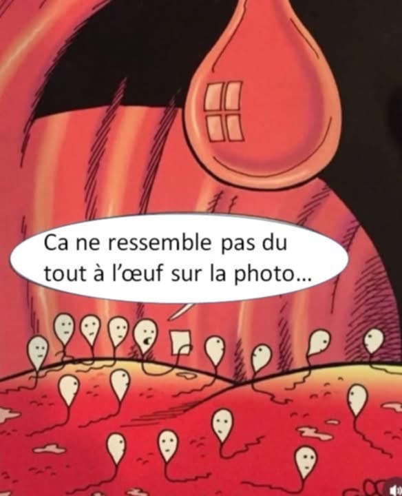att.KqYVTWQiMBrZhdSb0Rxe9QThcAKhhn6kSMh7F_SMGGM.jpeg