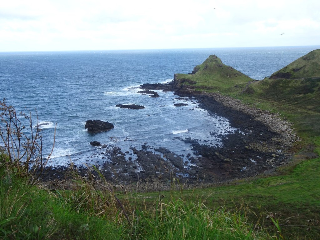 DSC01500.JPG