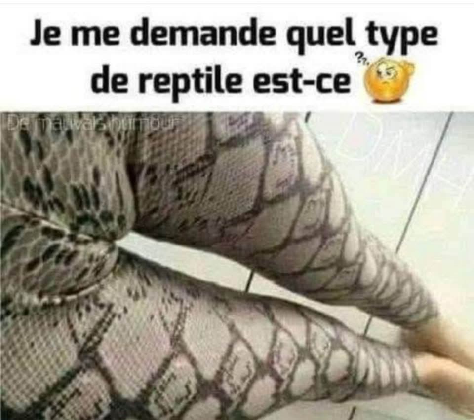 att.Eck0ivph3i_Bza1YyPGHM_z5MqloqK7DnYs49khqACk.jpeg