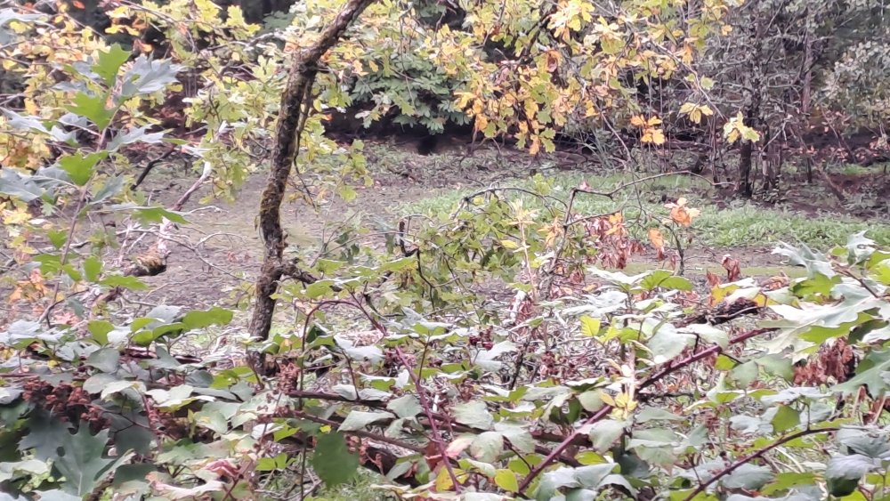 Canal creusé par erreur puis arrêté au bout d'un an de travaux