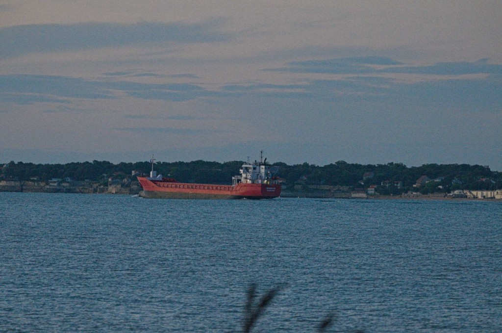 Bateau sur la Charente devant Fouras.jpg