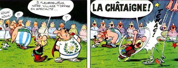 chataigne1.jpg