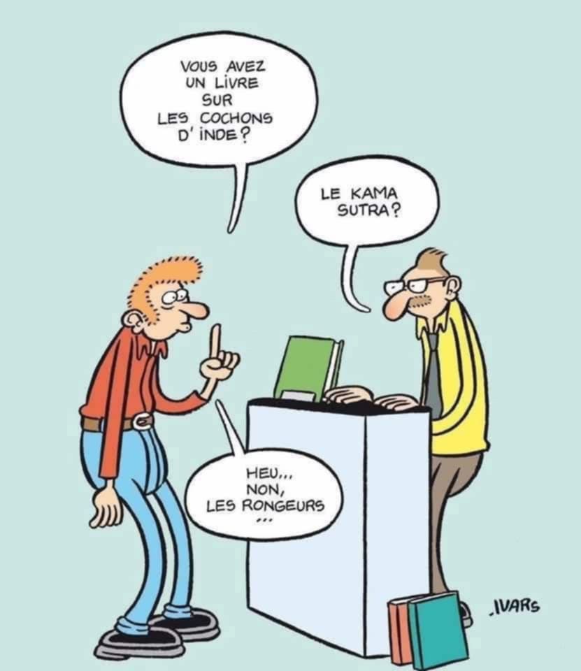 att.YDudcxbTnm6DhcZQR1KmFAPlHDlbPLl2NwEtUrFWTyU.jpeg