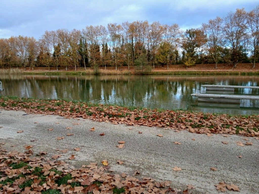 20251108_152004.jpg