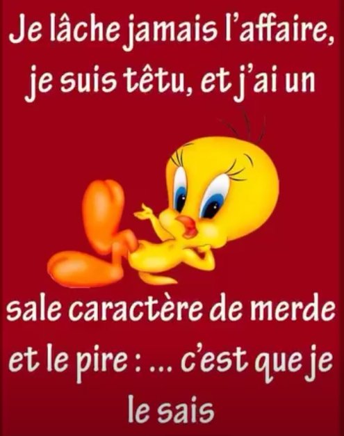 titi1.jpg