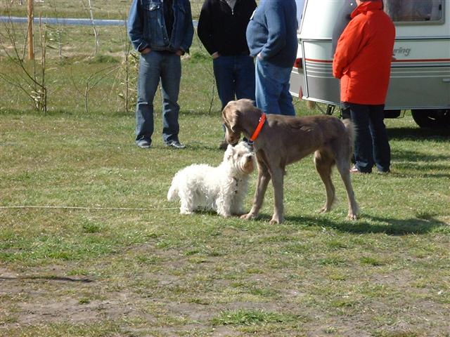 DSCF0028 (Small).JPG