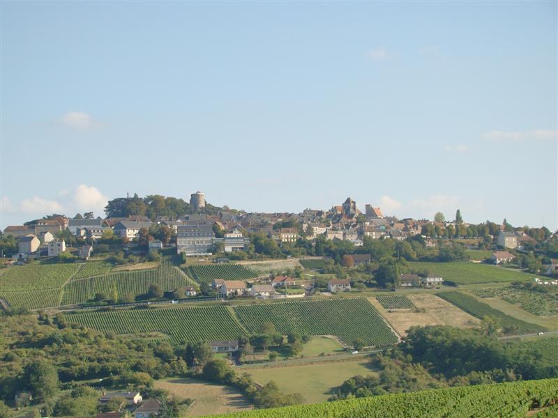 DSC06540 (Medium).JPG