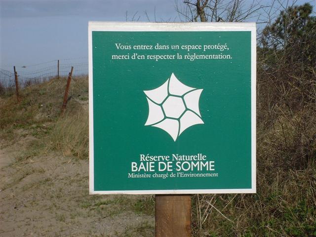 DSCF0043 (Small).JPG