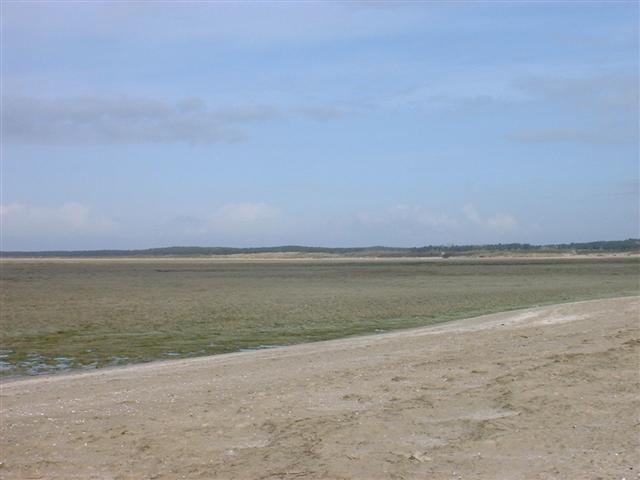 DSCF0051 (Small).JPG