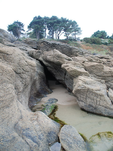 DSC_0923.jpg