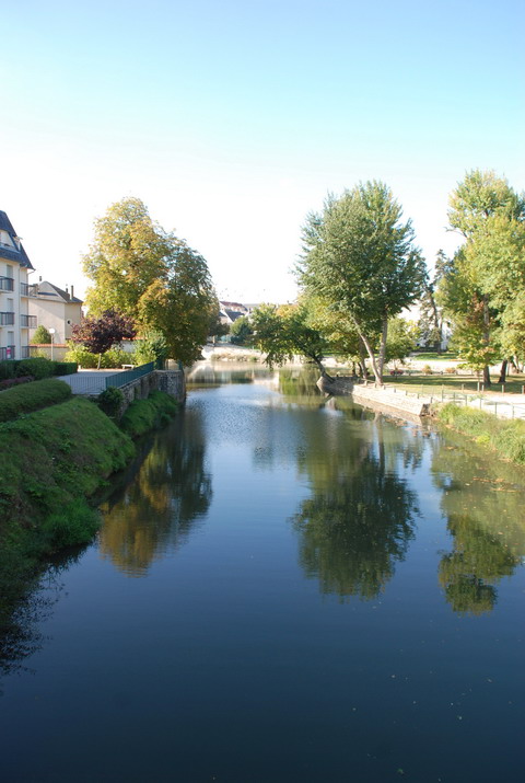 DSC_1208.jpg