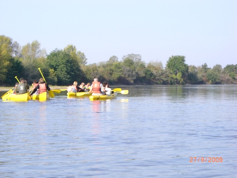 CIMG0893.JPG