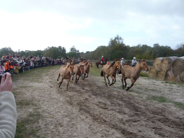 P1040050.JPG