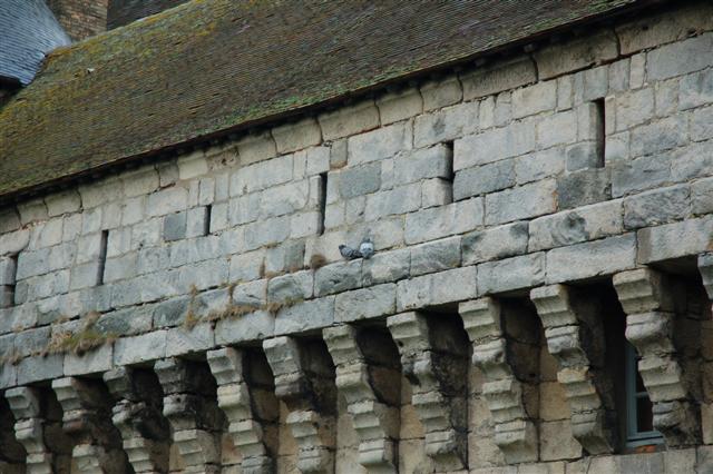 DSC_1401 (Small).JPG