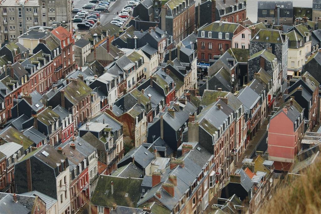 DSC_1442 (Large).JPG