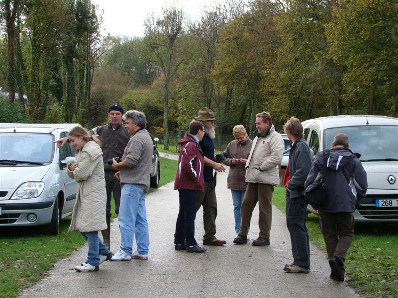 DSC06868 (Medium).JPG