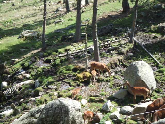 DSCF0511.JPG