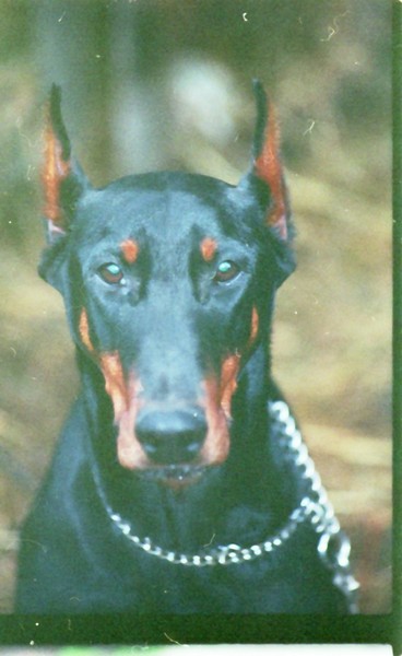 Scan10036.JPG