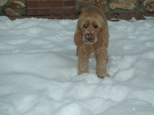 DSCF2543.JPG
