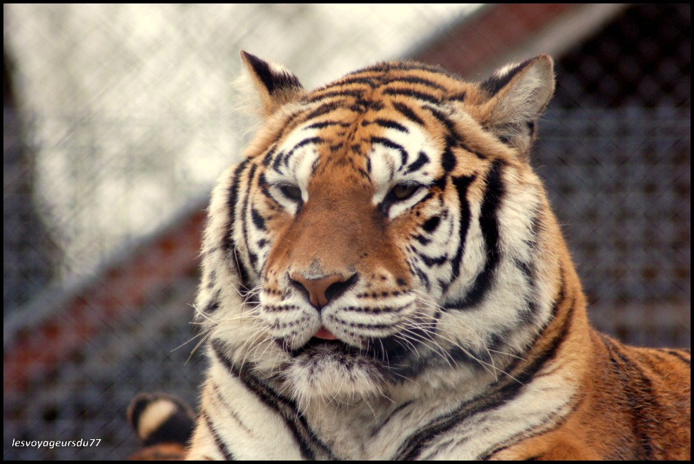miam miam le bon photographe......