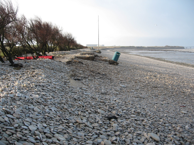 Temp-te 28 F-vrier 2010 005.jpg