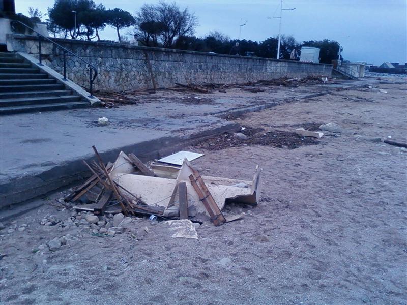 SP_A1292 (Medium).jpg