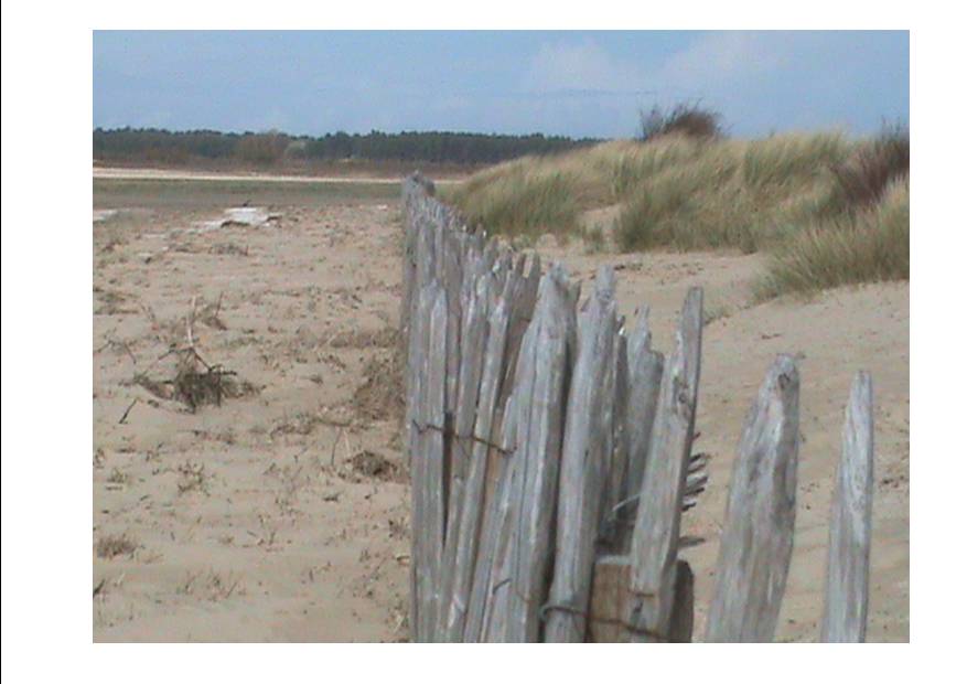 Baie P 8.jpg