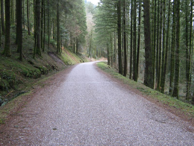 l1.jpg