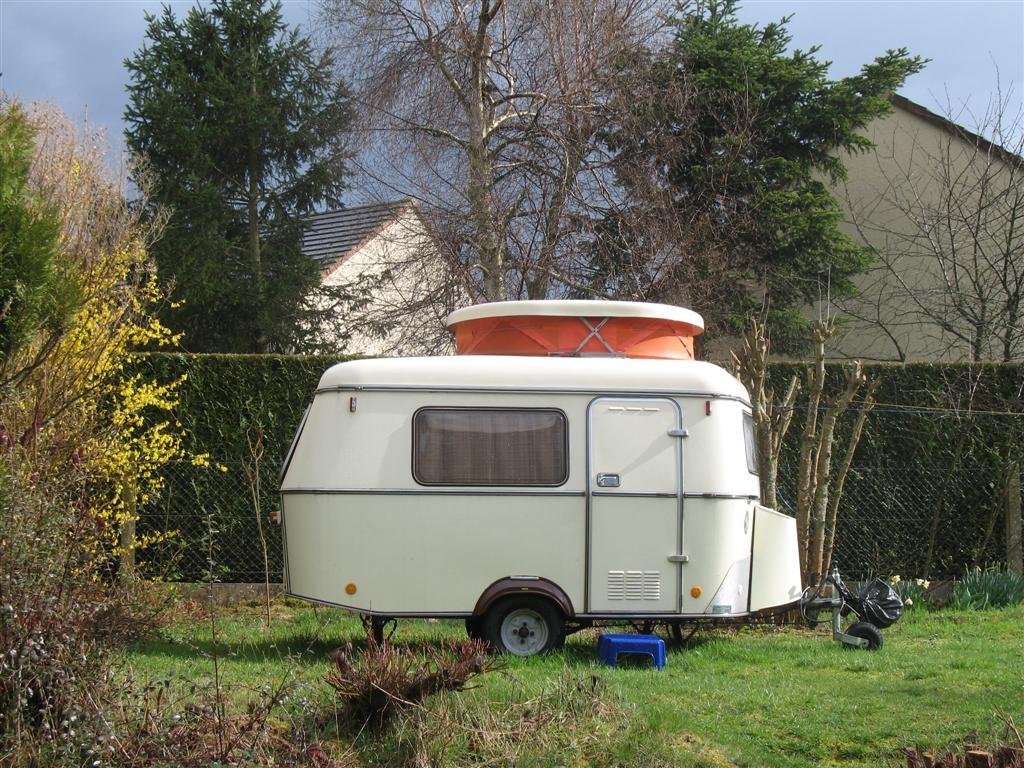 IMG_3927 (Large).JPG