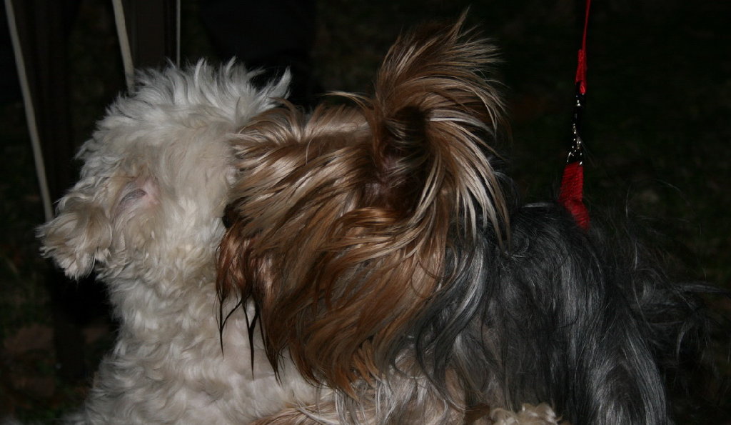 Bon, il est l'heure d'aller se coucher.