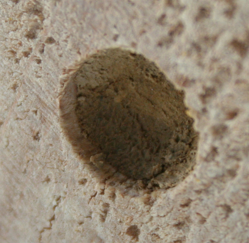 trou_800.jpg