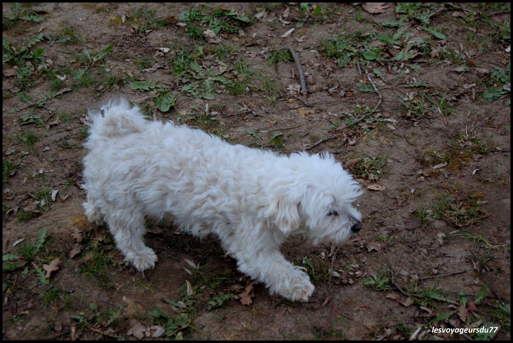 3 (2) [1000X750].JPG